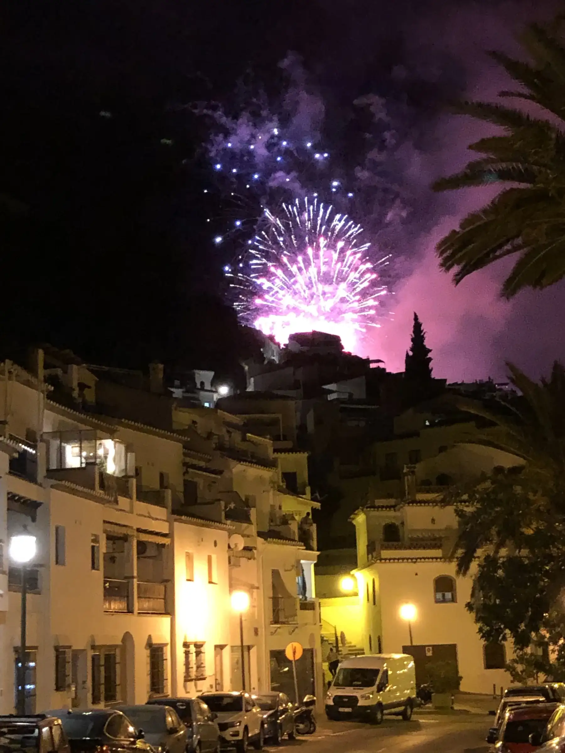 Fireworks over Frigiliana during the Festival of Three Cultures, palm trees silhouetted against the night sky.