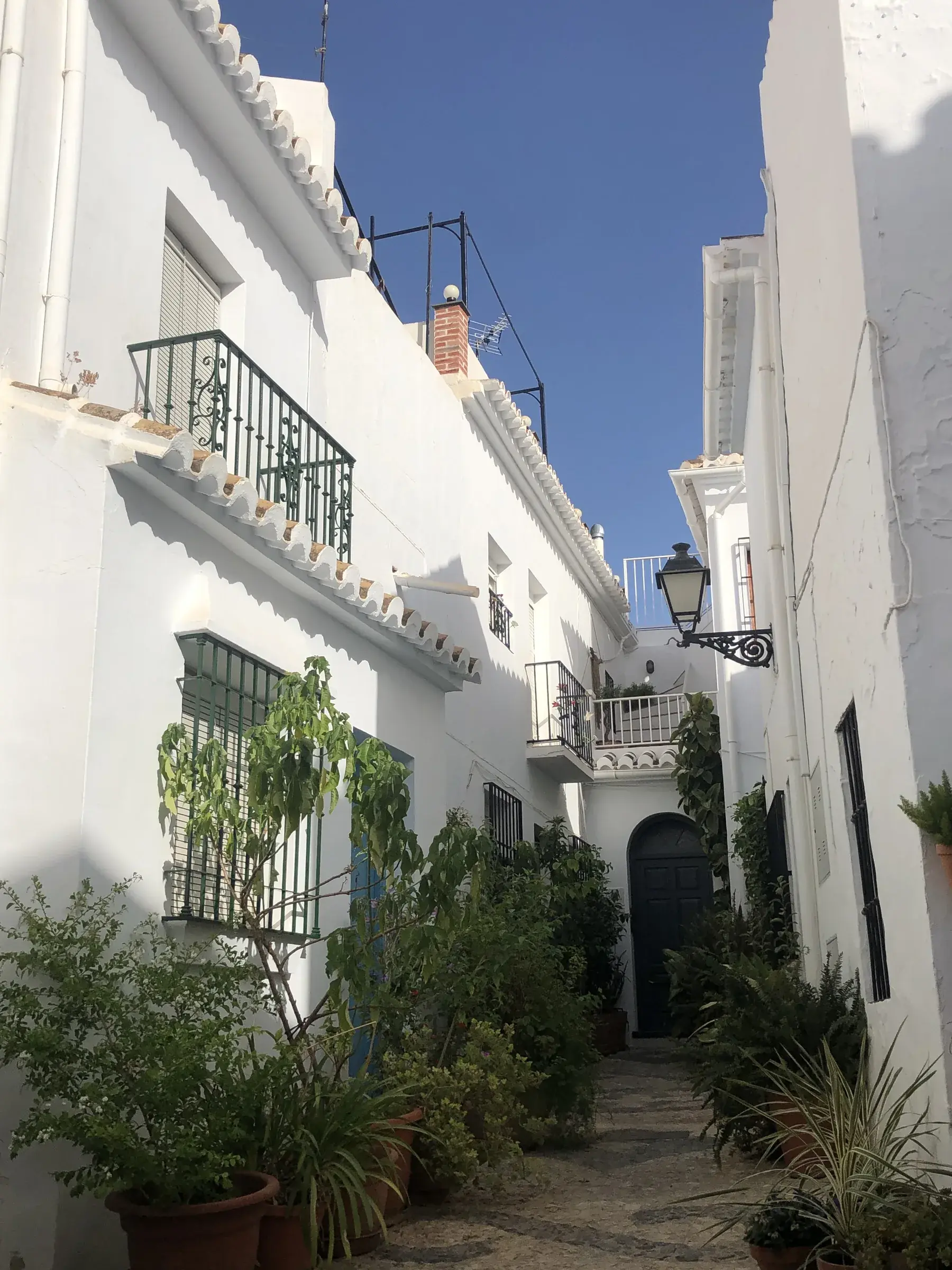 Whitewashed alley in the old town of Frigiliana, blue-shuttered windows and potted plants.